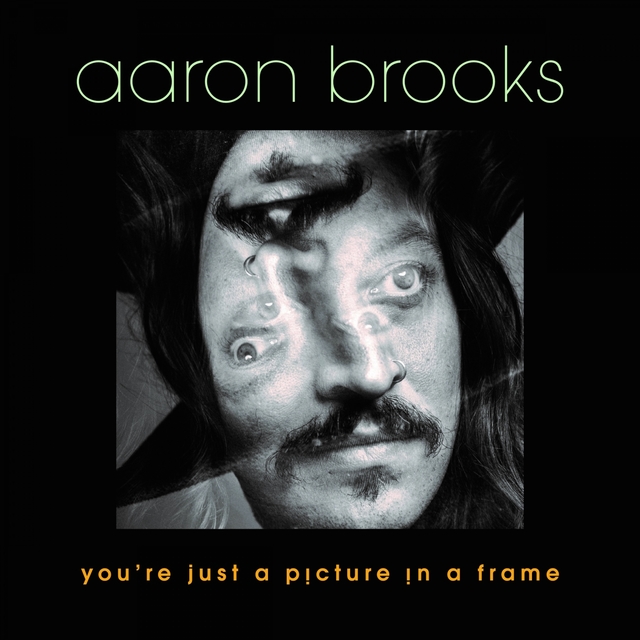 Couverture de You're Just a Picture in a Frame