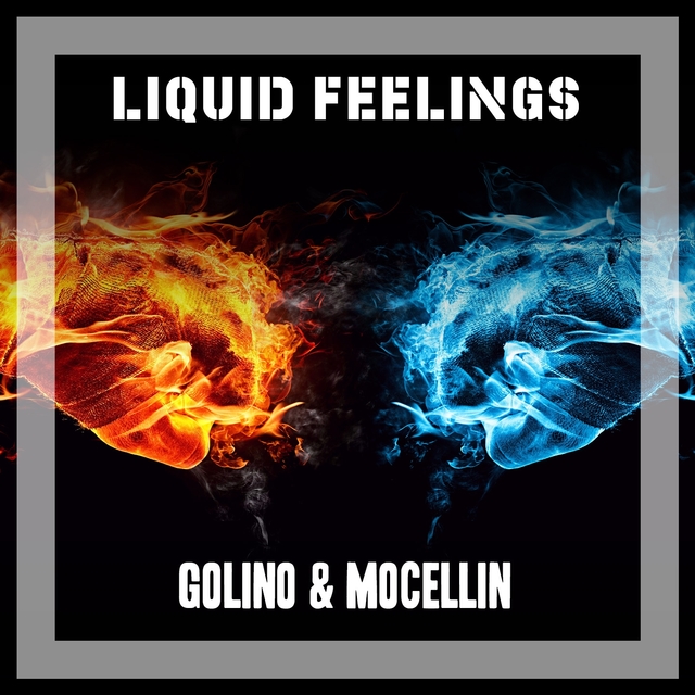 Couverture de Liquid Feelings