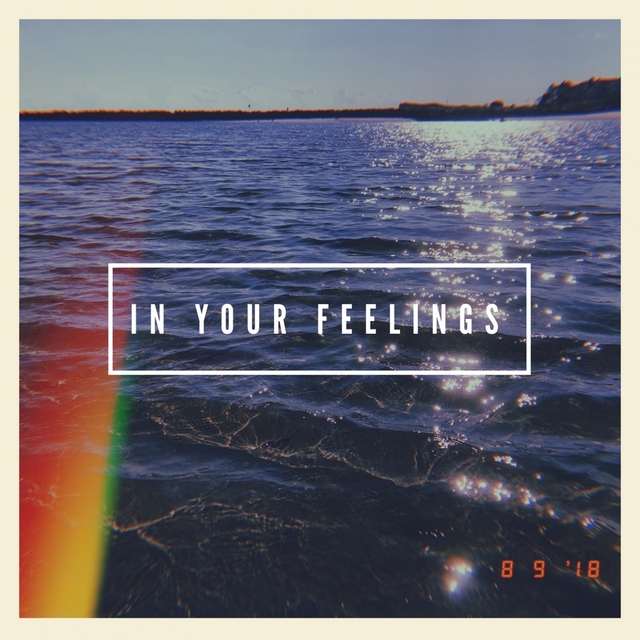 Couverture de In Your Feelings