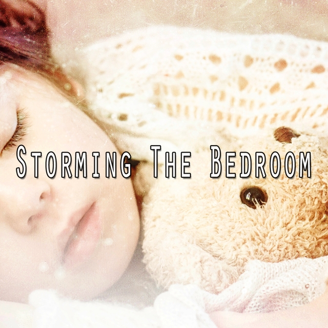 Couverture de Storming The Bedroom