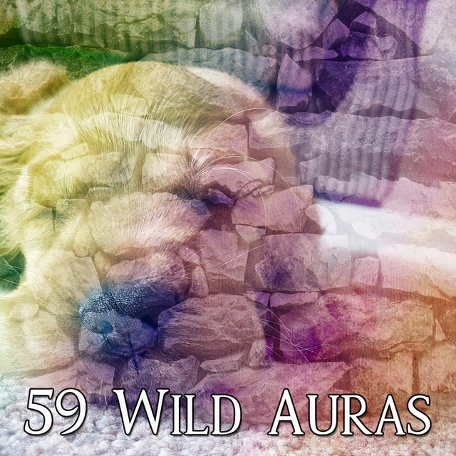 Couverture de 59 Wild Auras