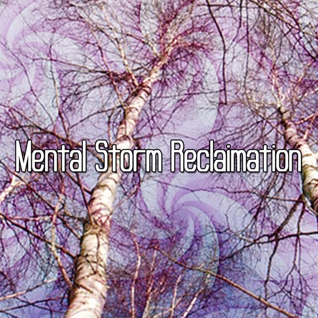 Couverture de Mental Storm Reclaimation