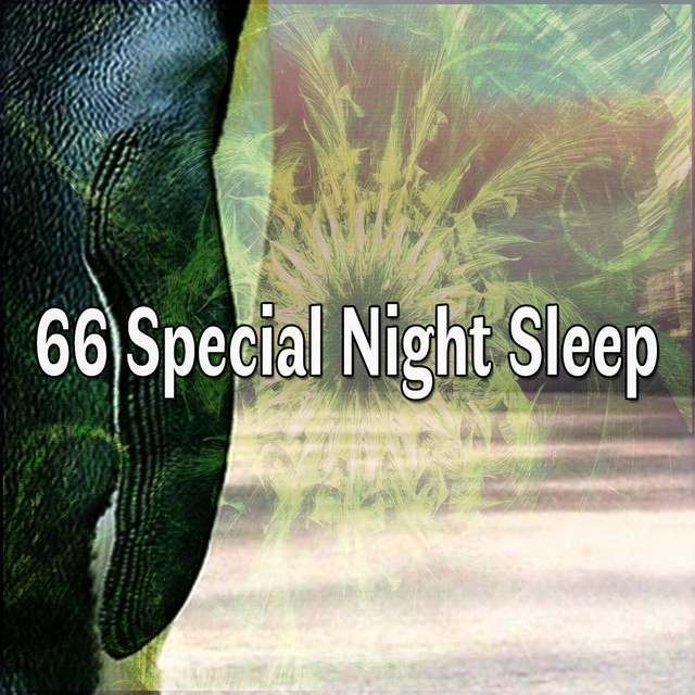 Couverture de 66 Special Night Sleep