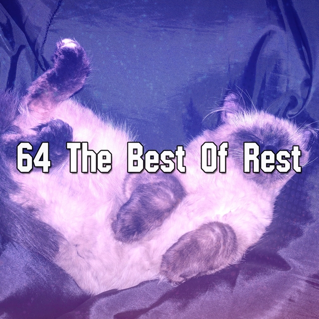 Couverture de 64 The Best Of Rest