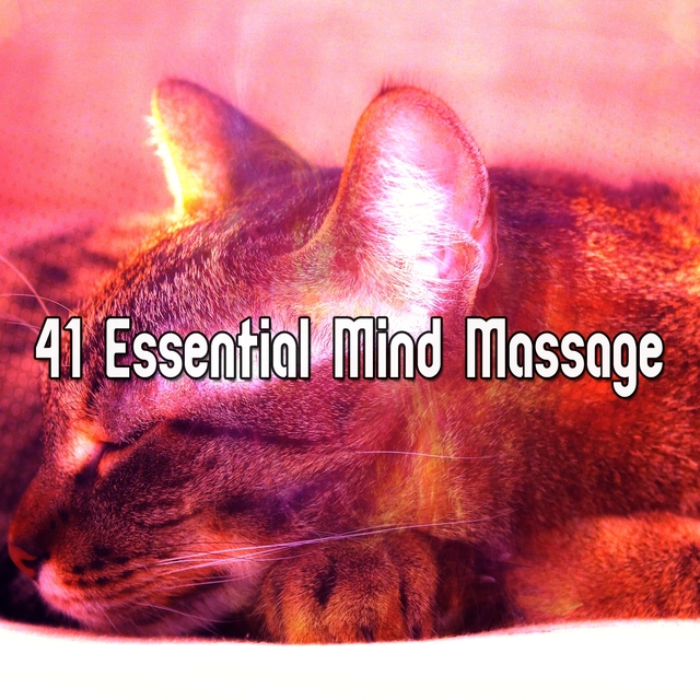 41 Essential Mind Massage