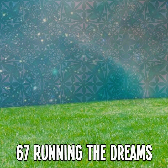 Couverture de 67 Running The Dreams