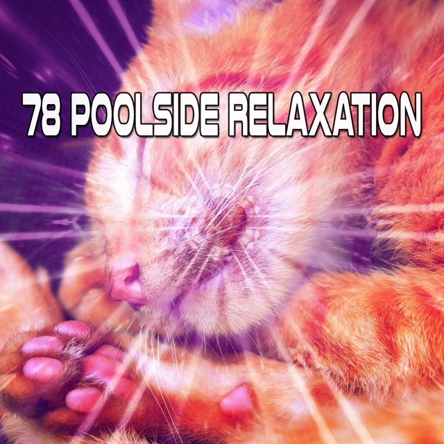 Couverture de 78 Poolside Relaxation