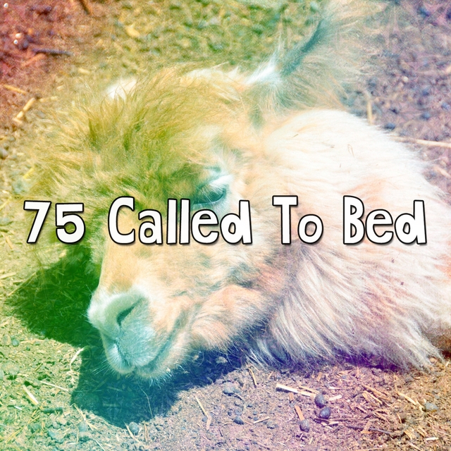 75 Called To Bed