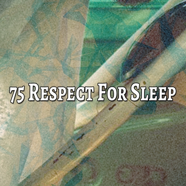 Couverture de 75 Respect For Sleep