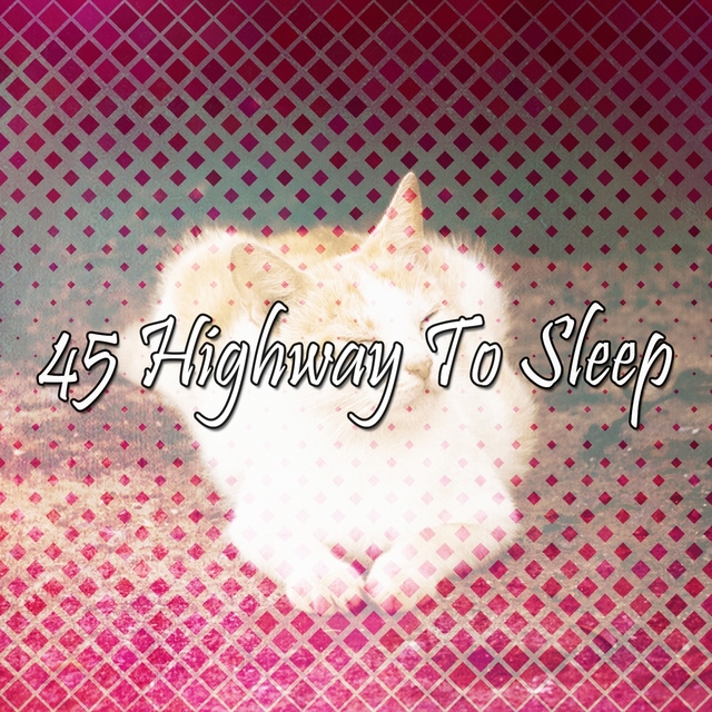 Couverture de 45 Highway To Sleep