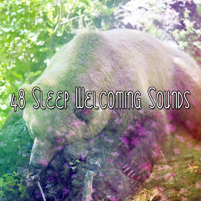 Couverture de 48 Sleep Welcoming Sounds