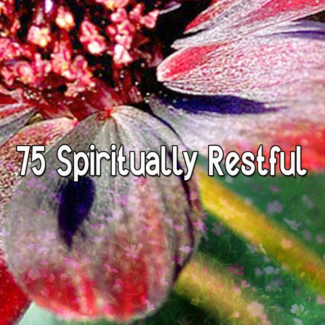 Couverture de 75 Spiritually Restful