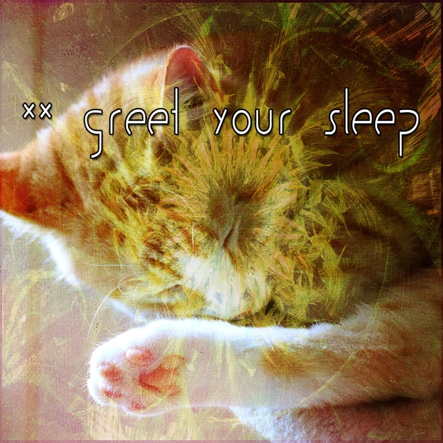 43 Greet Your Sleep