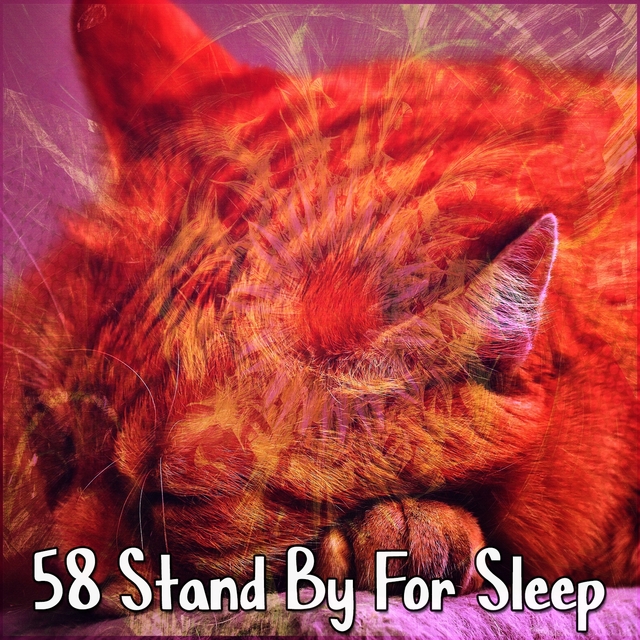 Couverture de 58 Stand By For Sleep