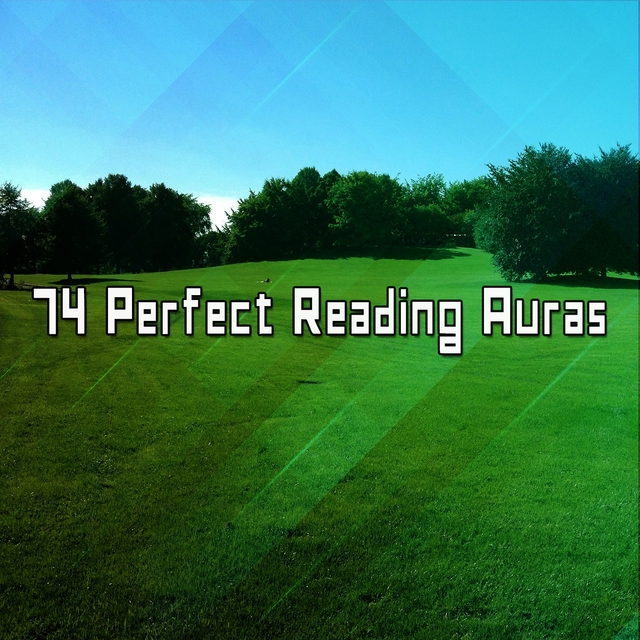 Couverture de 74 Perfect Reading Auras