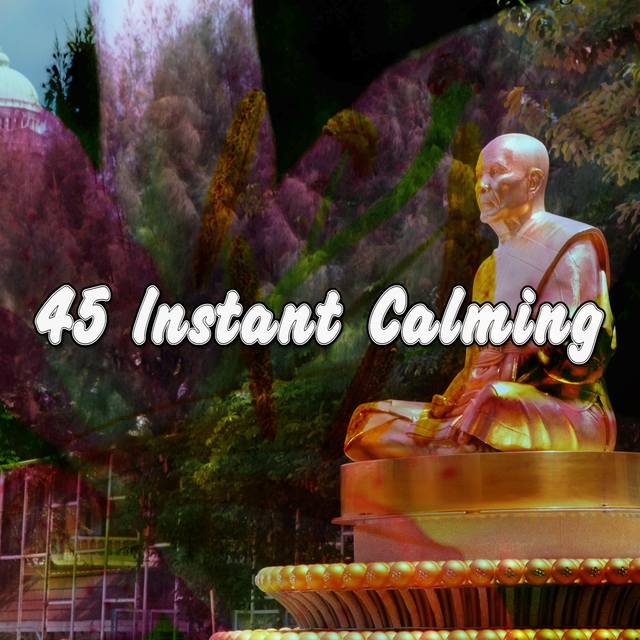 Couverture de 45 Instant Calming