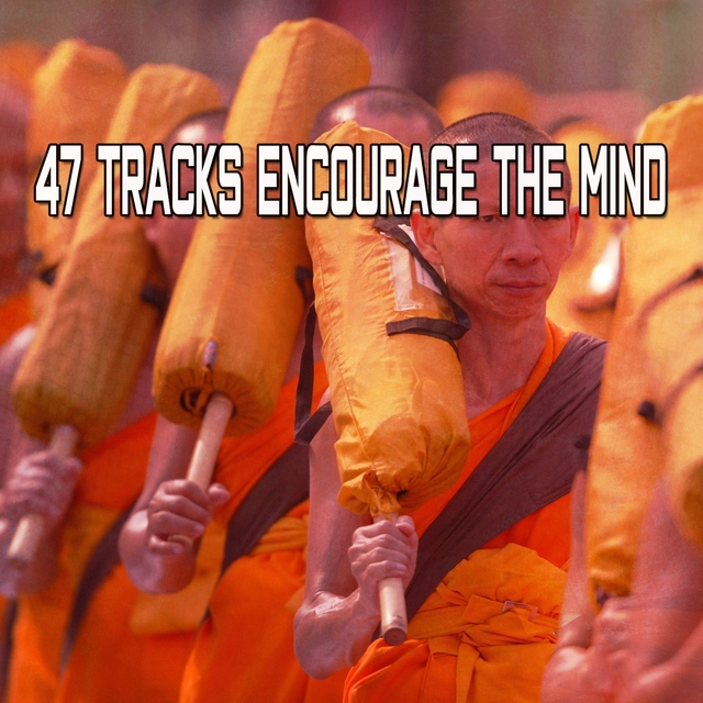 Couverture de 47 Tracks Encourage The Mind