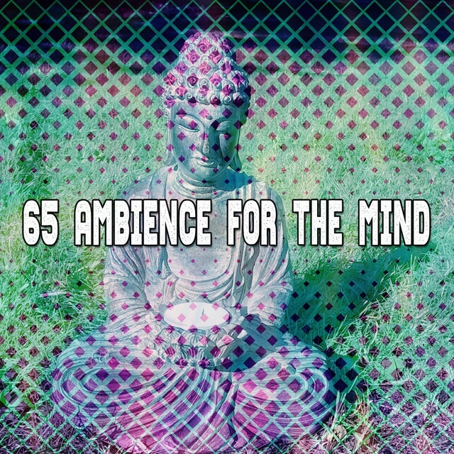 Couverture de 65 Ambience For The Mind