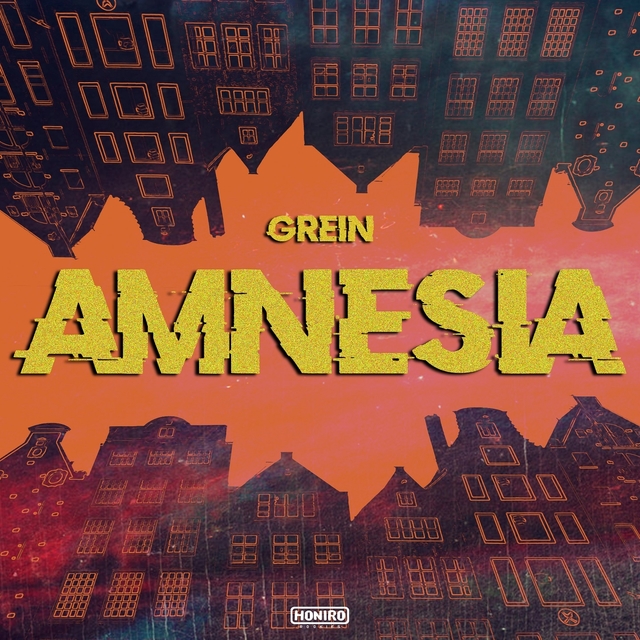 Couverture de Amnesia