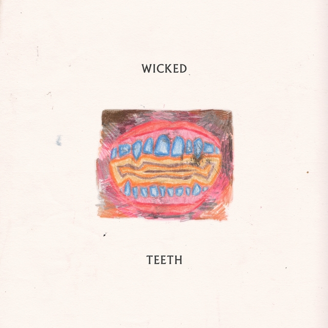 Couverture de Wicked Teeth