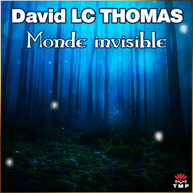 Couverture de Monde invisible