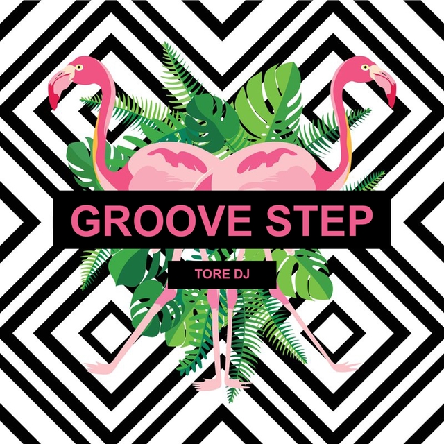 Couverture de Groove Step