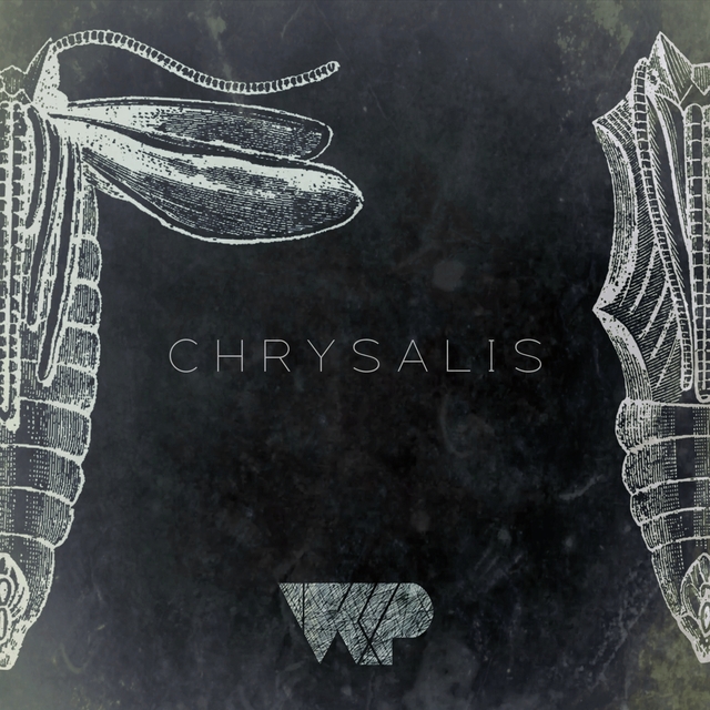 Chrysalis