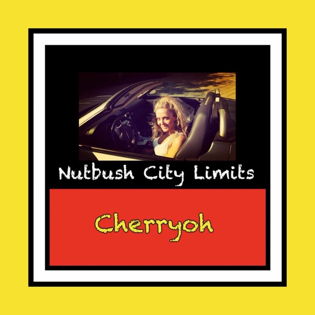 Couverture de Nutbush City Limits