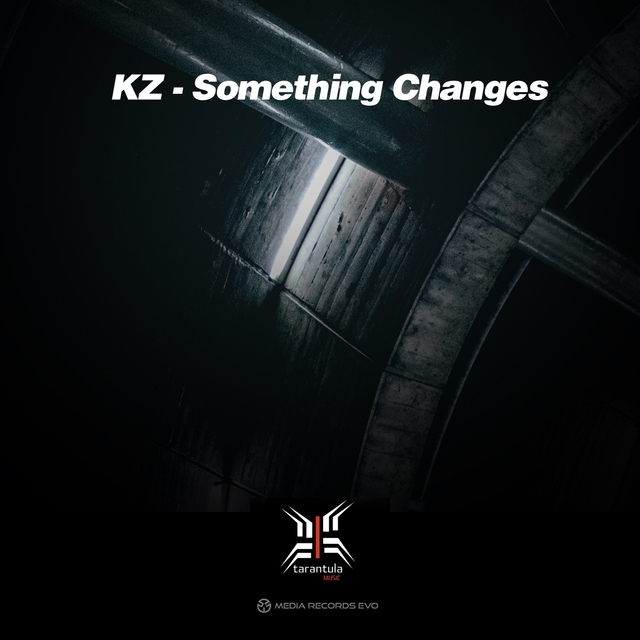 Couverture de Something Changes