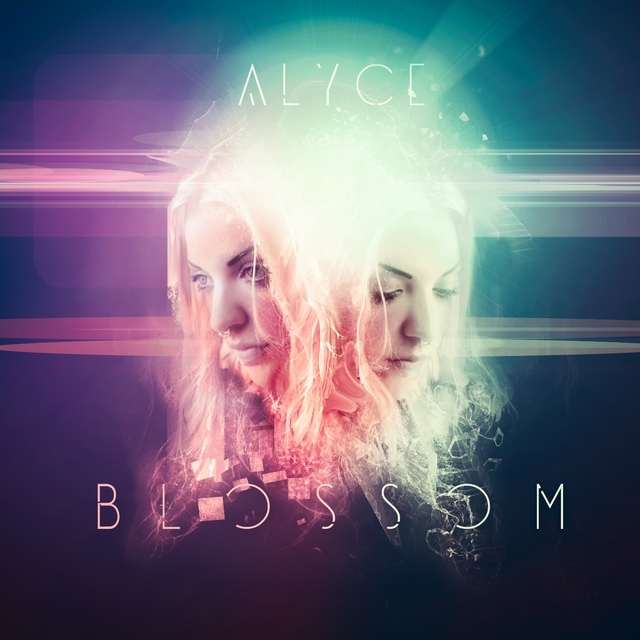 Couverture de Blossom