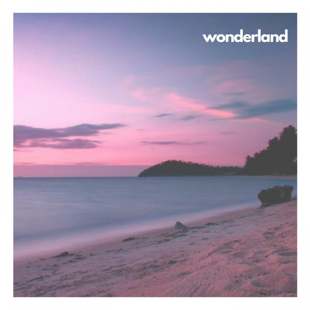 Couverture de Wonderland