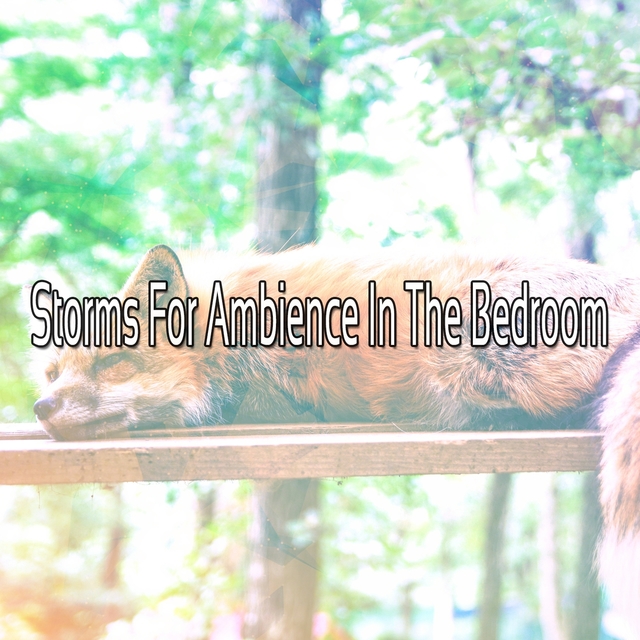 Storms For Ambience In The Bedroom