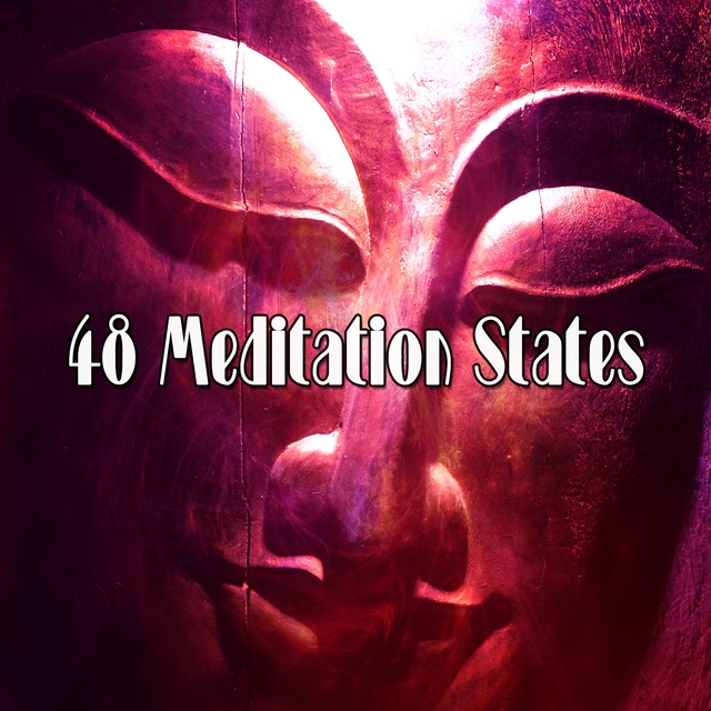 Couverture de 48 Meditation States