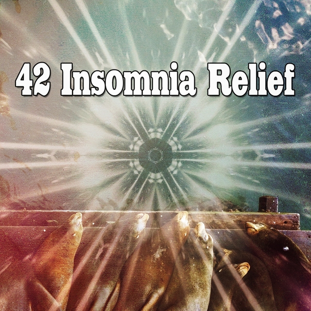 Couverture de 42 Insomnia Relief