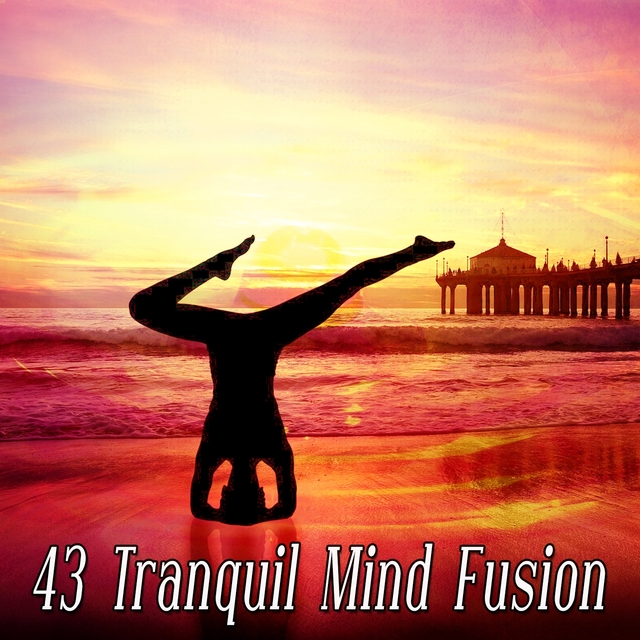 Couverture de 43 Tranquil Mind Fusion