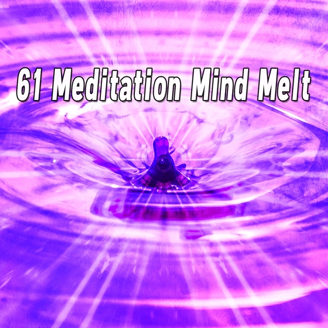 Couverture de 61 Meditation Mind Melt