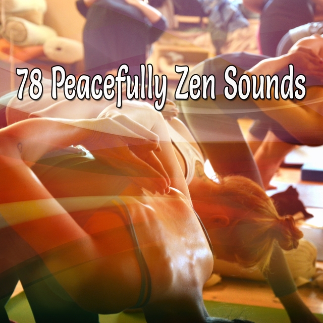 Couverture de 78 Peacefully Zen Sounds