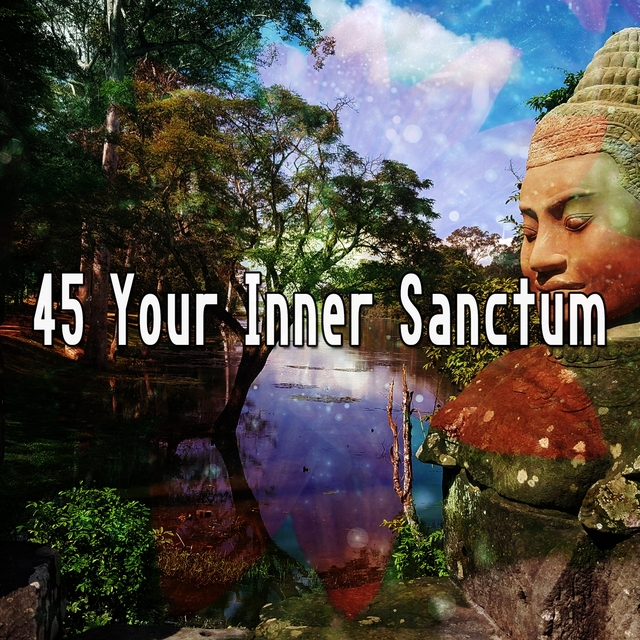 Couverture de 45 Your Inner Sanctum