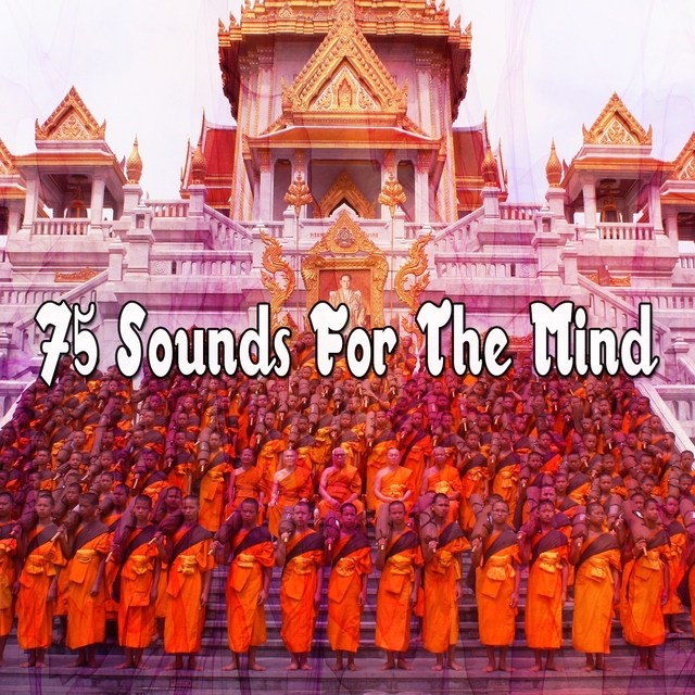 Couverture de 75 Sounds For The Mind