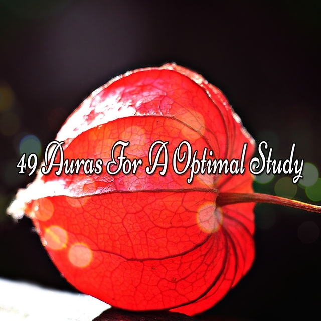 Couverture de 49 Auras For A Optimal Study