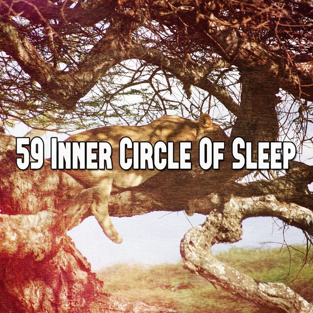 Couverture de 59 Inner Circle Of Sleep