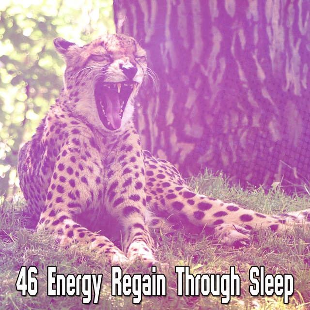 Couverture de 46 Energy Regain Through Sleep