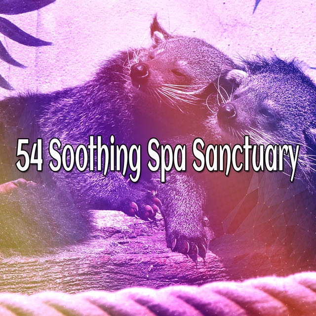 Couverture de 54 Soothing Spa Sanctuary