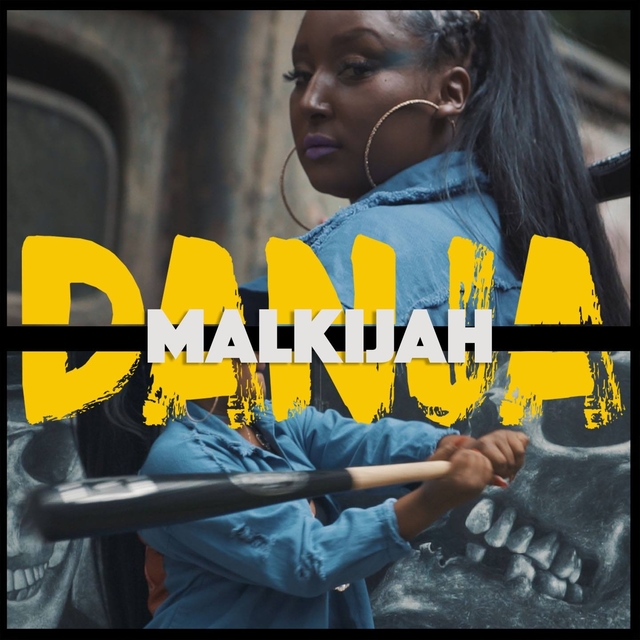 Couverture de Danja