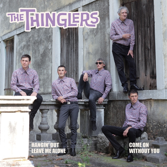 Couverture de The Thinglers