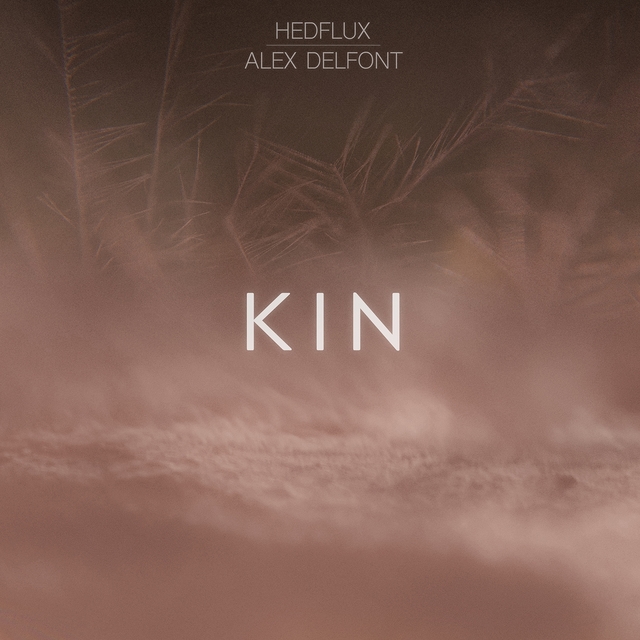 Couverture de Kin