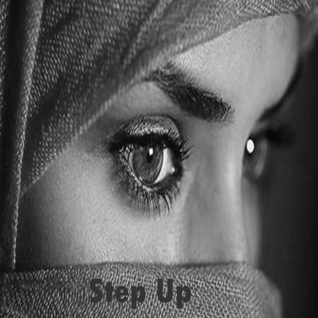 Couverture de Step Up