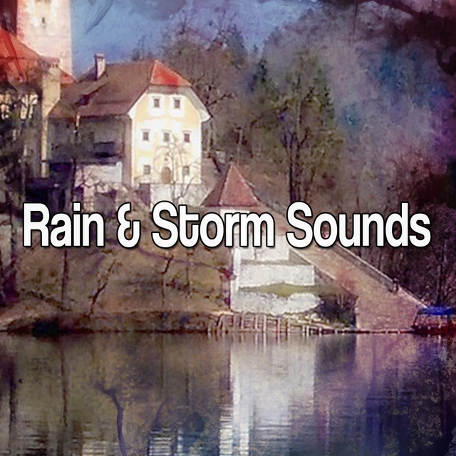 Couverture de Rain & Storm Sounds