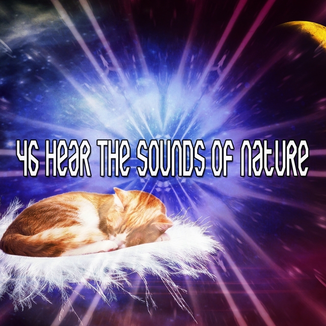 Couverture de 46 Hear The Sounds Of Nature