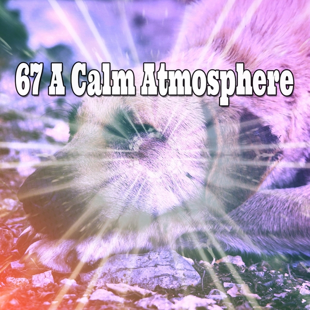 67 A Calm Atmosphere
